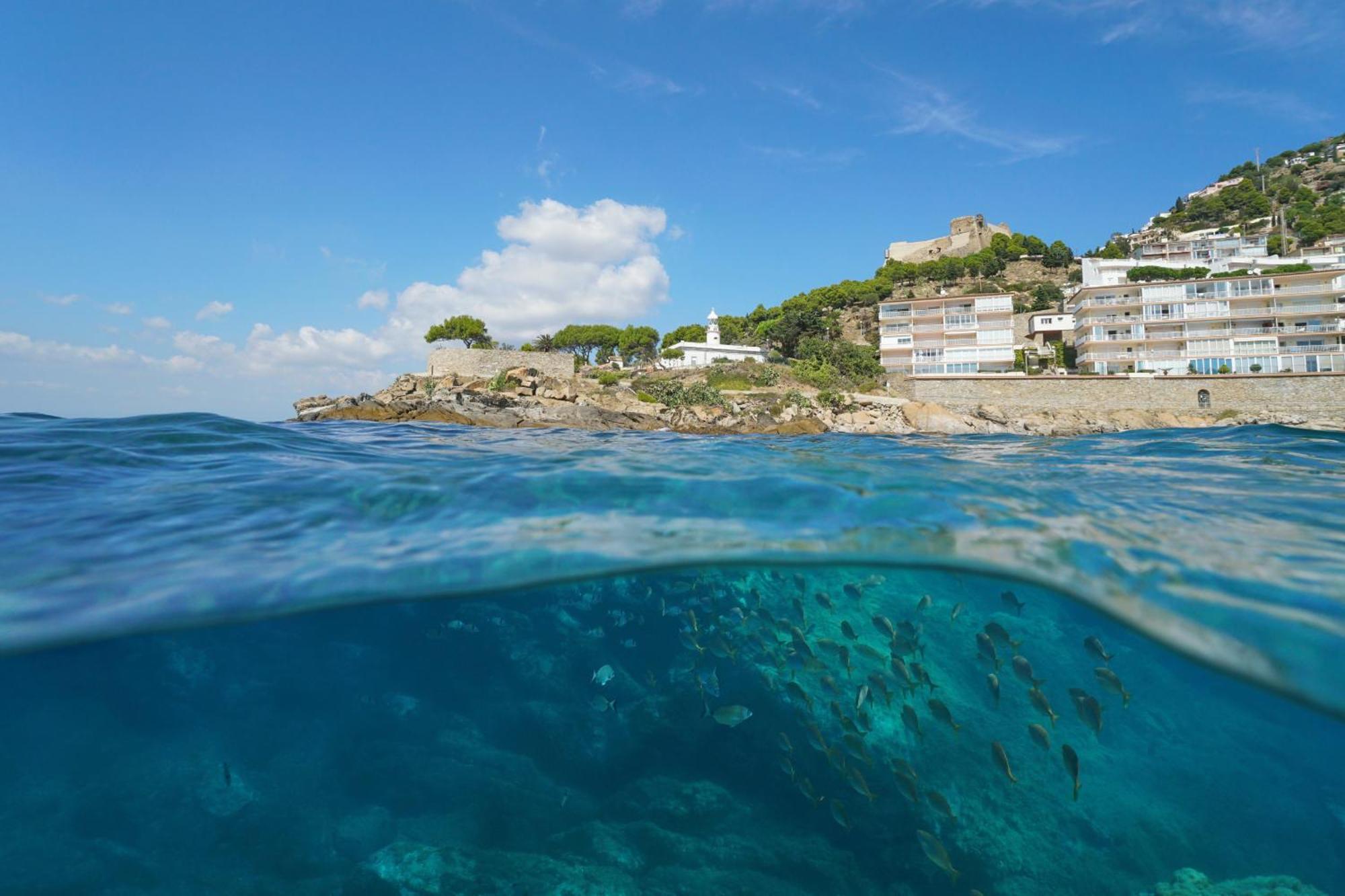 Mirador 31 - Immo Barneda Holiday home